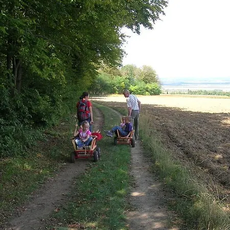 Weinbauernhof Vier Jahreszeiten Κατάλυμα σε φάρμα Staatz