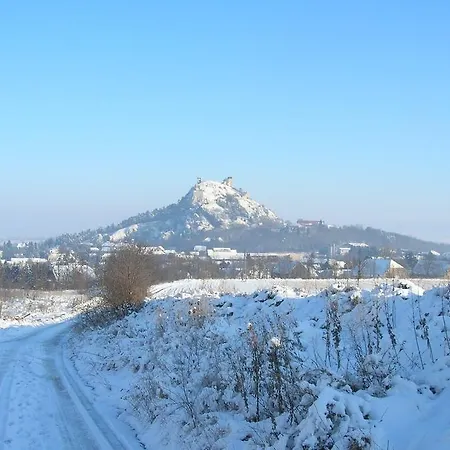 Farm stay Weinbauernhof Vier Jahreszeiten *