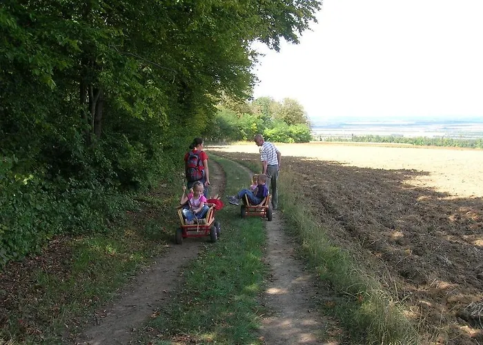 Weinbauernhof Vier Jahreszeiten Feriegård Staatz